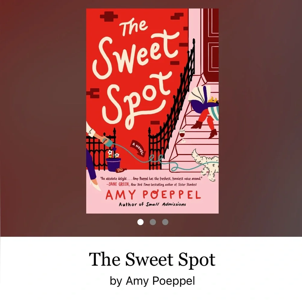 The Sweet Spot by Amy Poeppel Paperback Book Fiction Romance Humor Book Tok